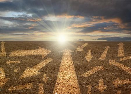 Understanding Fresh Produce & Carbon Footprint